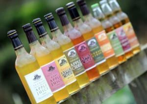5th September 2013 Husthwaites Orchards feature. Pictured the range of ciders made in the village Pictuire by Gerard Binks